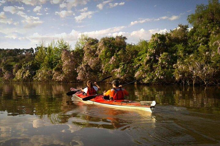 Aventura en kayak en el delta del río Paraná