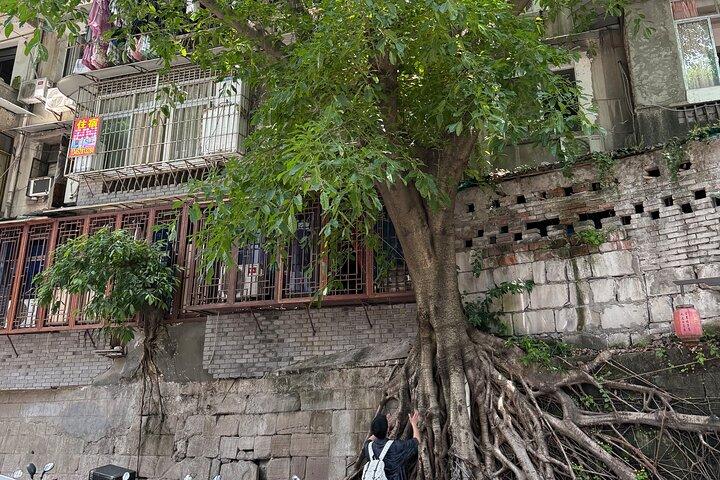Visite guidée de la ville de CHONGQING : Lens, Bites & Hidden Steps