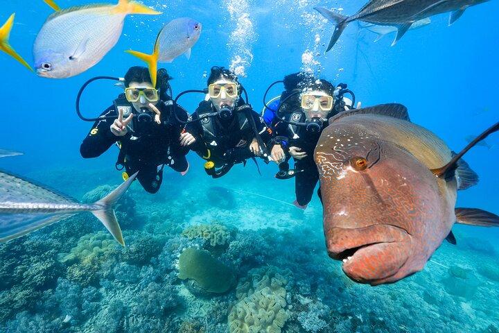 Tour de arrecife con buceo desde Cairns, pontón con actividades