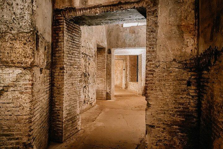 Tour autoguidato della Domus Aurea con esperienza di realtà virtuale