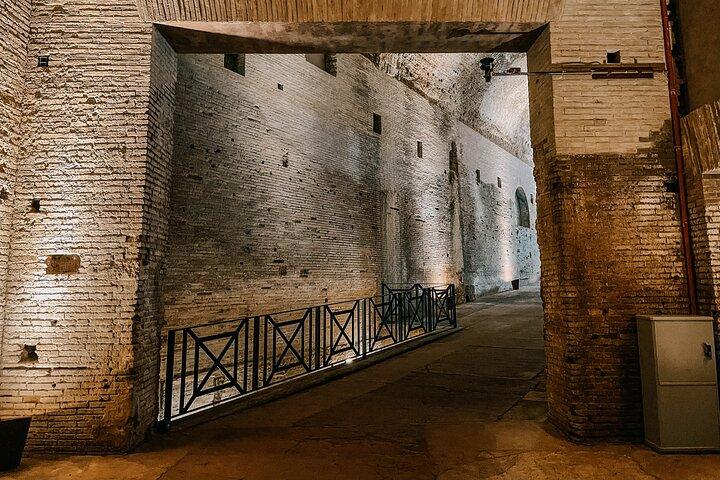 Tour autoguidato della Domus Aurea con esperienza di realtà virtuale