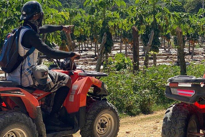 Sosua ATV eller Buggy Adventure Mountains Floder og vandfald