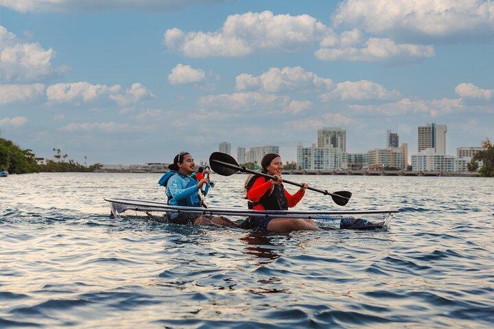 Clear Bottom Kayak Nature Tour in San Juan Condado Lagoon