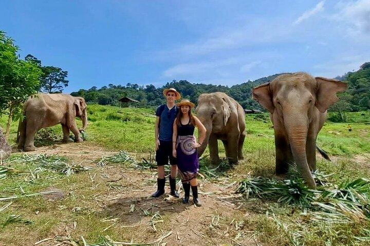 Phuket City Tour & Elephant Sanctuary – Cidade, Templo, Comida e Vista