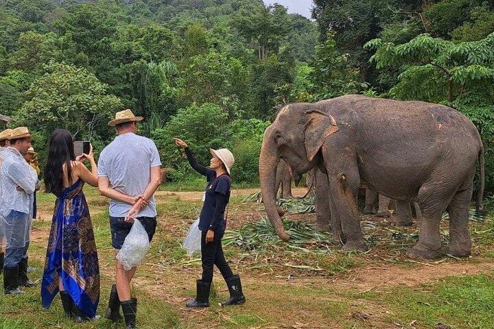 Phuket City Tour & Elephant Sanctuary – Cidade, Templo, Comida e Vista