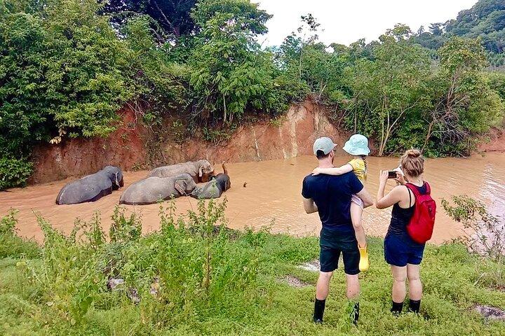 Phuket City Tour & Elephant Sanctuary – Cidade, Templo, Comida e Vista
