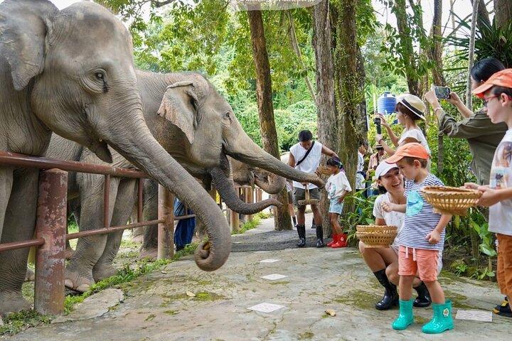 Phuket City Tour & Elephant Sanctuary – Cidade, Templo, Comida e Vista