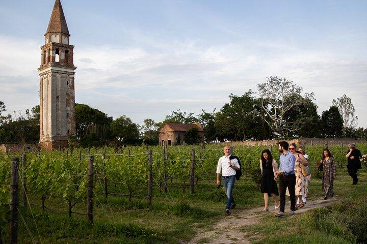 NOVO : Native Venice Wine Experience Tour e Degustação