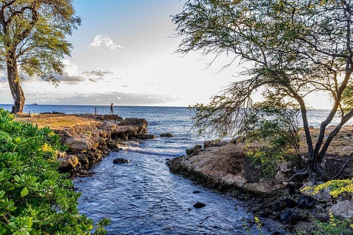 Hilo Finest Waterfalls und Stadtrundfahrt