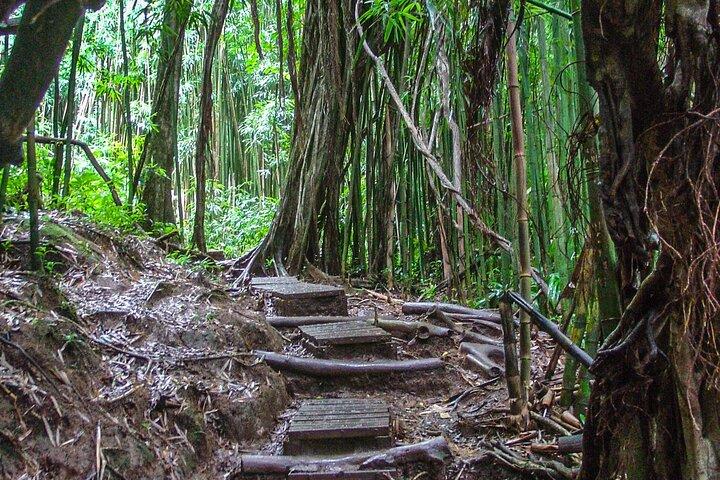 Hilo Finest Waterfalls und Stadtrundfahrt