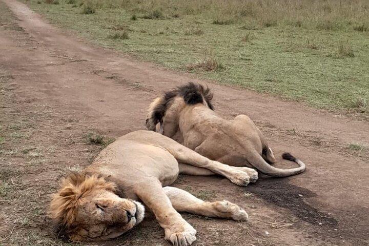 1 Jour Tsavo Est et Ouest Extreme Wildlife Safari Adventure