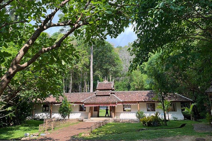 The Forest Temples & Wat Doi Suthep Evening Tour