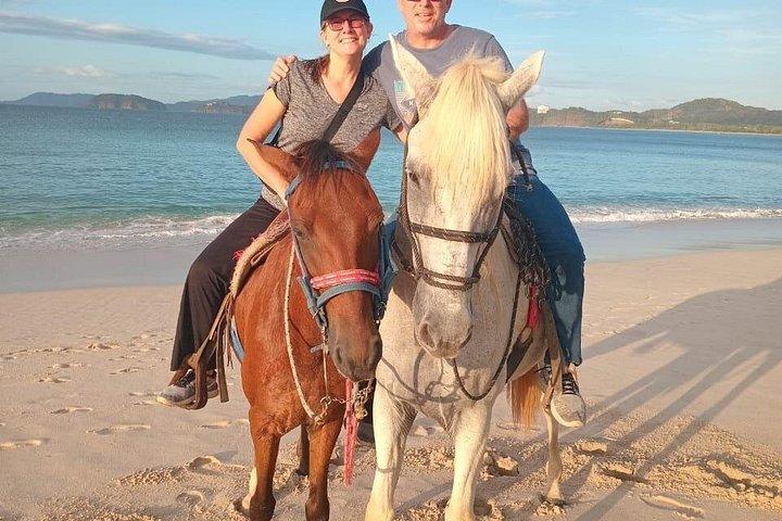 Conchal Beach Horseback Riding - 1hr 30min Guided Tour