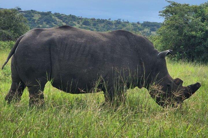 2 giorni Akagera Camping Safari