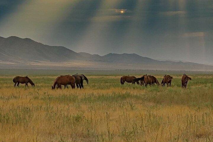 2 - Day Private Express : Issyk Kul Nomadic - Karakol Ski Adventure