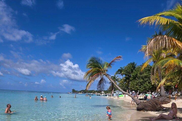 Roatan Sloth and Monkey Sanctuary with West Bay Beach Break