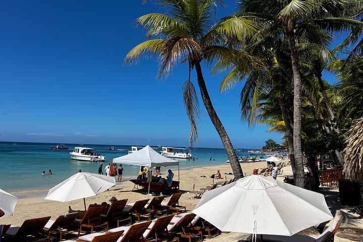 Roatan Sloth and Monkey Sanctuary with West Bay Beach Break