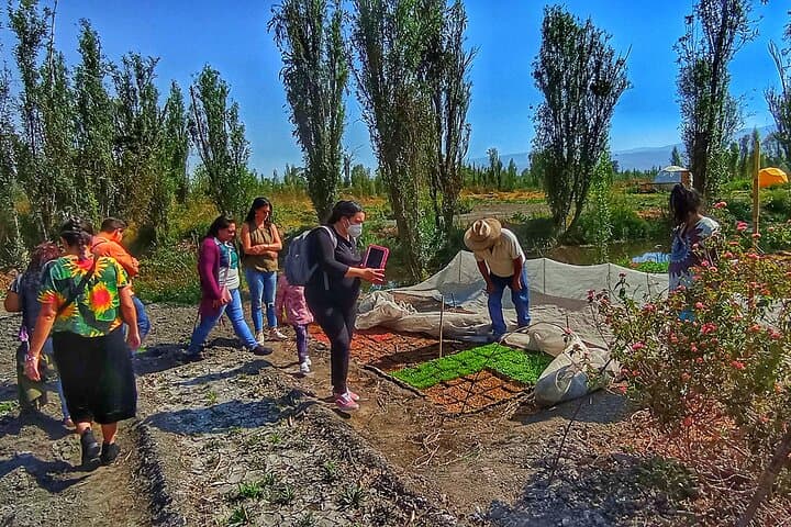 Xochimilco Ancestral Ajolotos Chinampas and Living Tradition