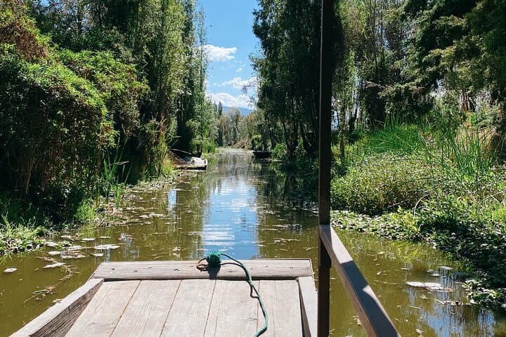 Xochimilco Ancestral Ajolotos Chinampas and Living Tradition