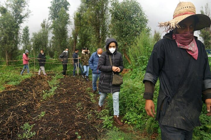 Xochimilco Ancestral Ajolotos Chinampas and Living Tradition
