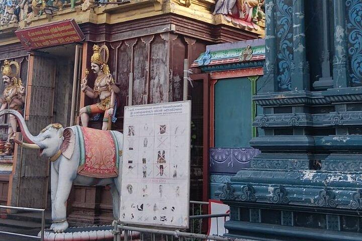 Royal City Tuk Tuk Prezzo basso a Colombo All inclusive City Tour