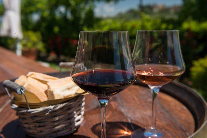 Toscane Vins & Déjeuner : Montepulciano & Montalcino Experience