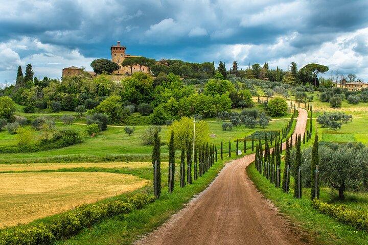 Toscane Vins & Déjeuner : Montepulciano & Montalcino Experience