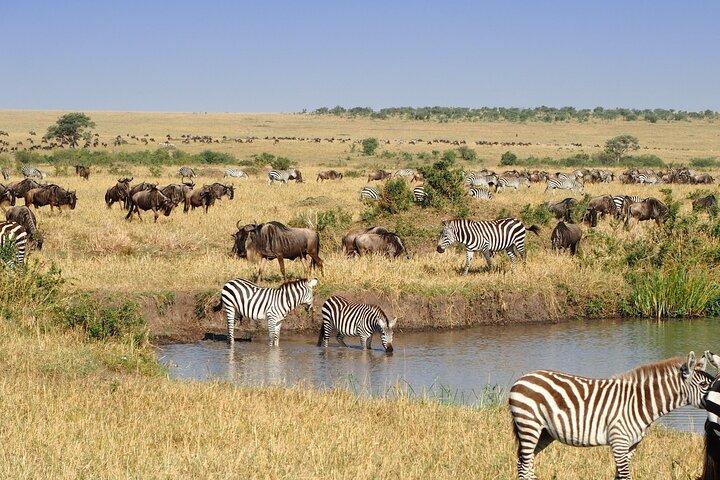 2 Days Masai Mara Group Safari in 4WD Jeep From Nairobi