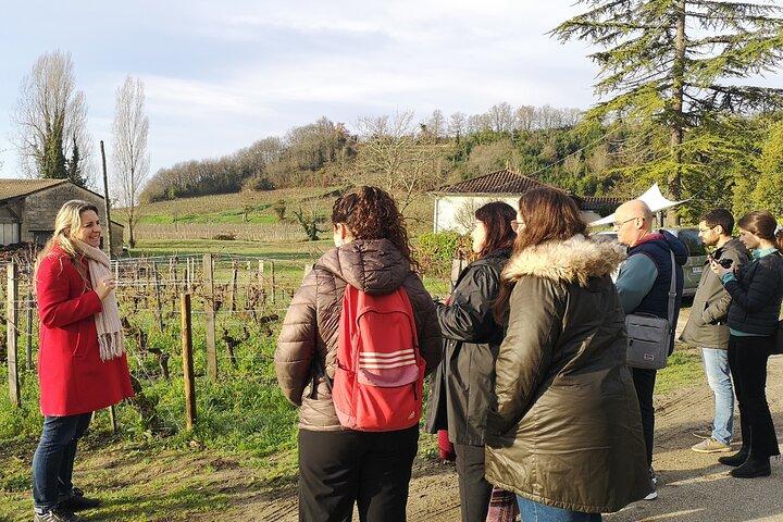 Halve dagtrip naar Saint-Emilion vanuit Bordeaux