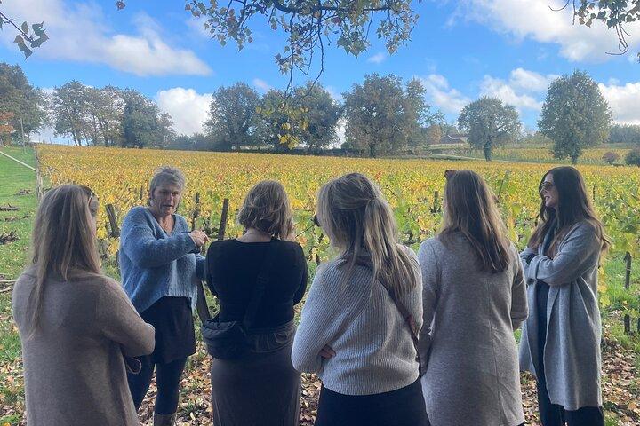 Halve dagtrip naar Saint-Emilion vanuit Bordeaux
