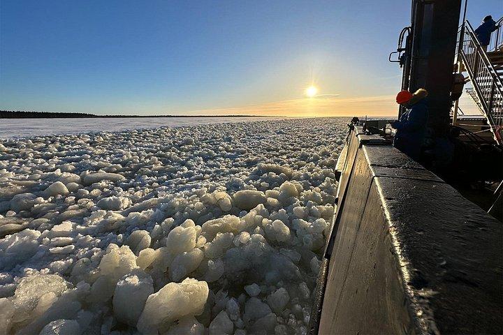 ロヴァニエミ発 : 氷上に浮かぶ砕氷船アークティスクルーズ