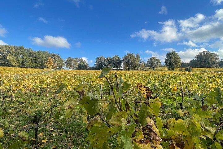 Halber Tag: Große Weine aus Saint Emilion und Pomerol