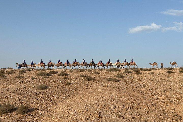 Agafay Desert Experience Giro in cammello e cena in quad