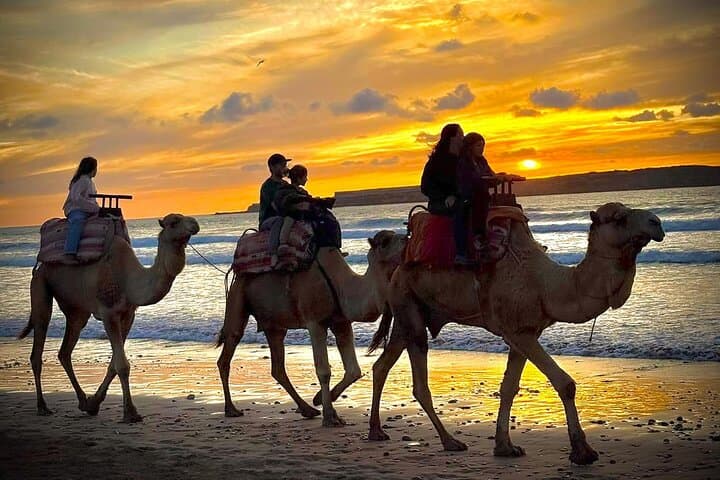 Camel Ride with khalid in Essaouira