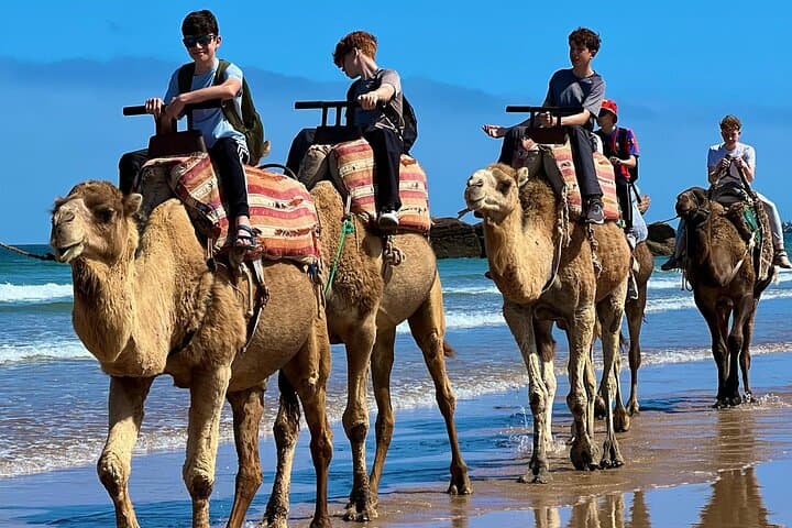 Camel Ride with khalid in Essaouira