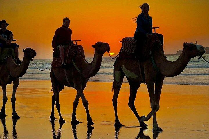 Camel Ride with khalid in Essaouira