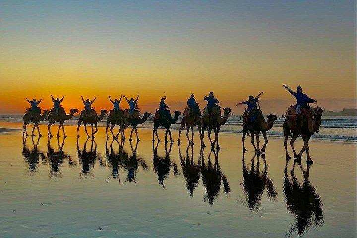 Camel Ride with khalid in Essaouira