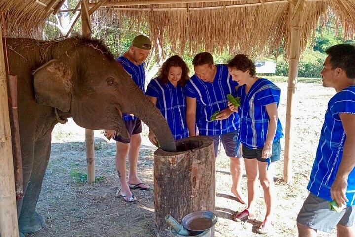Chiang Mai 4 på 1: 2 dage - 1 nat. Elephants Camp + Adventure