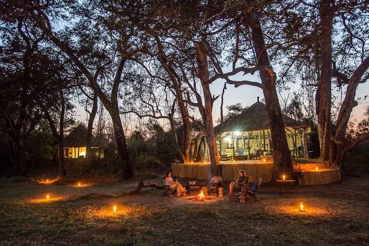 3-Days -Attraction:Crocodile Diving Cage & Cape Point & Wine