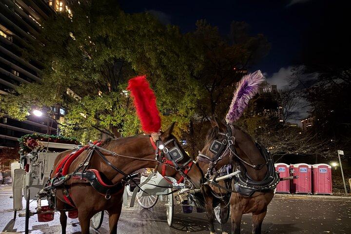 Central Park Carriage Ride NYCs zeitlose Tour
