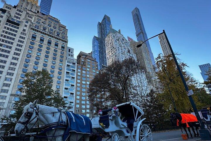 Central Park Carriage Ride NYC:s tidlösa tur