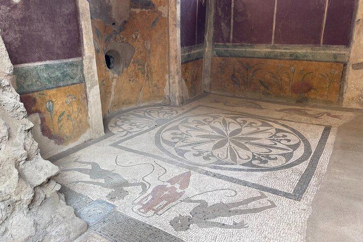 Visite guidée de Pompéi en petit groupe