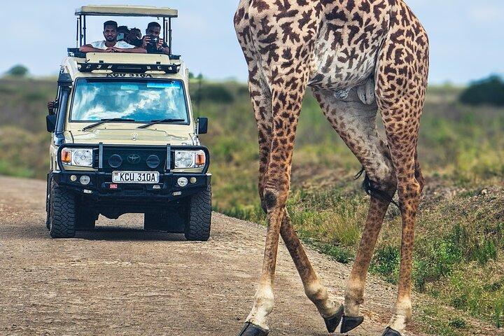プライベートナイロビ国立公園サファリ4x4ランドクルーザー
