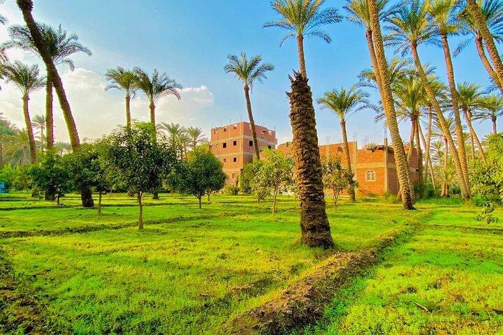 Breakfast, Lunch or Dinner: Exclusive Egyptian Countryside Exp