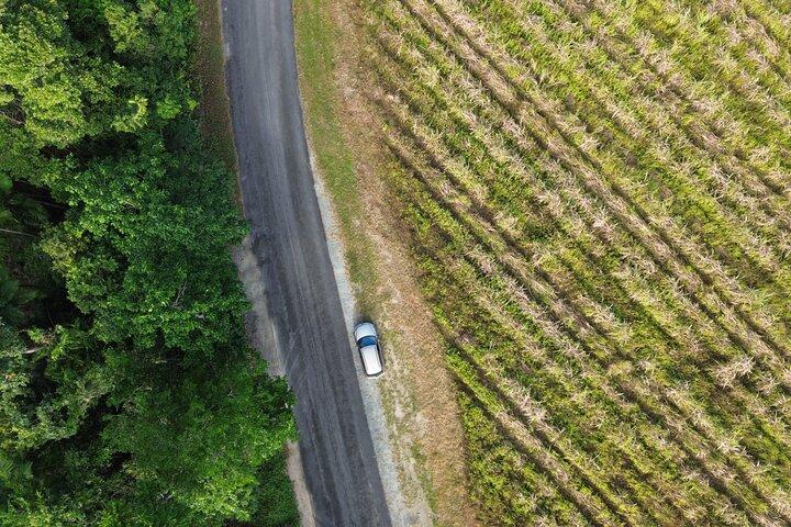 Private Führung in Port Douglas und Umgebung