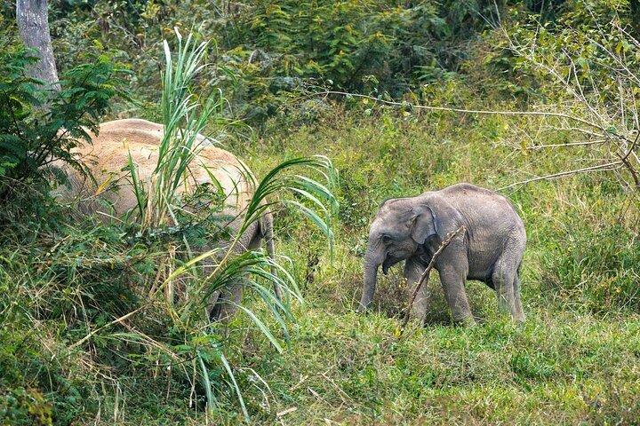 Gita di un giorno privato a Kui Buri da Hua Hin