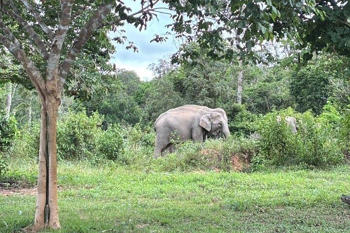 Gita di un giorno privato a Kui Buri da Hua Hin