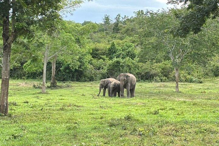 Gita di un giorno privato a Kui Buri da Hua Hin