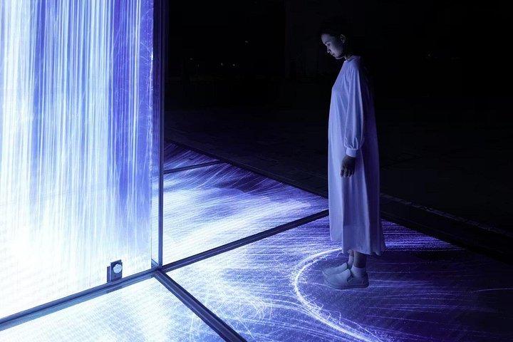 Entrada programada para Team Lab Planets Tokyo