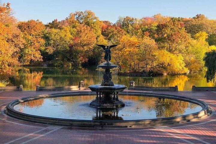 Visita guiada a pie por Central Park : monumentos y joyas ocultas